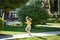 A little girl in a yellow t-shirt that says The best day runs along a wooden path on the property.