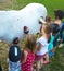 Little girls cleaning horse after riding