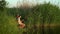 Little girls with fishing rods on river bank at sunset