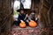 Little girls make jack-o-lantern from big pumpkins for celebratiion of halloween holiday.Witch costume, hat, coat. Cut with knife,