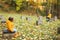 Little girls sisters in yellow jacket and raincoat sit on concrete posts of the foundation in the autumn forest or park. Maple