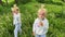 Little girls triplets with dandelions