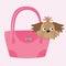 Little glamour tan Shih Tzu dog in the pink bag.