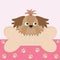 Little glamour tan Shih Tzu dogÂ’s head and big