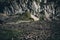 Little goat jumping in rocky mountain in Hollental from Zugspitze, the biggest mountain in Germany