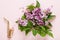 Little Golden saxophone and Bouquet of fresh fragrant pink lilac on  pink paper background. Top view, close-up