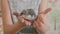 Little gray hamster in children\'s hands