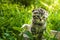 Little gray kitten on a basket in a park on green grass. Portrait. Postcard. Summer. Scottish fold cat breed