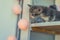 Little gray kitten sits on a shelf with a garland of round bulbs