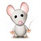 Little gray mouse