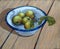 Little Green Apples in Enamel Bowl, Oil Pastel Art