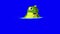 Little green frog jumps out of the water chroma key HD