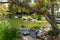 Little green lush and water pound at the Seaport Village