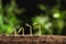 Little green seedlings growing in soil  blurred background, closeup view