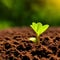 Little green sprout appearing from the ground. Awakening of the nature in spring. Sun at backdrop. Close up. Generative AI.