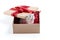 Little grey fluffy cute kitten sitting inside cardboard box with red birthday box on top being present for special