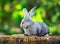 Little grey rabbit on stump