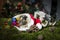 Little guinea pig inside Santa Claus hat