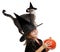 Little hallowen witch