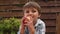 Little handsome boy with an apple