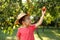 Little happy boy touching apple