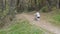 Little happy girl child rides a bicycle in the autumn forest