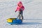 Little happy girl drags bright snowtube on snow