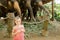 Little happy girl standing near tamed and tied elephants.