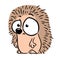 Little hedgehog animal character surprised cute illustration cartoon