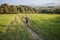 Little hiker with backpack comes from mountain and carries bouquet of wildflowers, beauty of nature