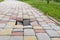 A little hole in the paving slabs and green grass near the sidewalk