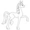 The little horse walks. Coloring book. Vector illustration.