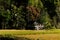 Little house in paddy field