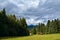 Little hut on meadow in coniferous alpine forest