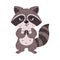 Little insidious crafty racoon with a sly grin and eyes, stands and is plotting something. Mischievous coon. Woodland animal