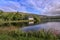 Little irish church on a peninsula in front of hills with blossoming flowers and fern - the St Finbarr`s Oratory