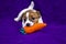 Little jack russell terrier puppy is played with soft toy carrot lying on a purple background. Contrast background. horizontal