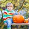 Little kid boy making jack-o-lantern for halloween in autumn gar