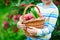 Little kid boy picking red apples on farm autumn