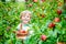 Little kid boy picking red apples on farm autumn