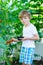 Little kid boy picking tomatoes in greenhouse