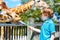 Little kid boy watching and feeding giraffe in zoo