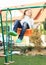 Little kid - girl on swing