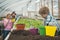 Little kid planting flower in pink pot. Side view blond boy playing in box with soil while parent work in greenhouse