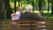 Little kids sharing secrets with grandfather resting on bench in park, back view