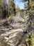 Little laramie river On snowy range road Medicine Bow National Forest Wyoming