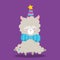 LITTLE LLAMA PARTY HAT 01