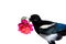 A little Magpie prankster is holding a Rose blossom.
