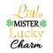 Little mister lucky charm. Happy Saint Patricks Day poster. Patricks day icon. Cute vector illustration. Vector typography. Design