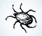 The little mite. Vector doodle symbol